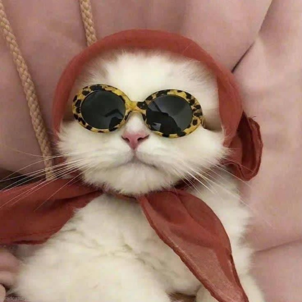 Hey I’m Q